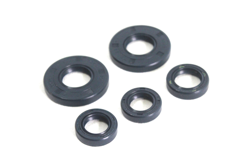 Satz Wellendichtringe Simmeringe 5-teilig Doppellippe für S50, KR51/1