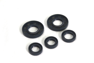 Satz Wellendichtringe Simmeringe 5-teilig Doppellippe für S50, KR51/1